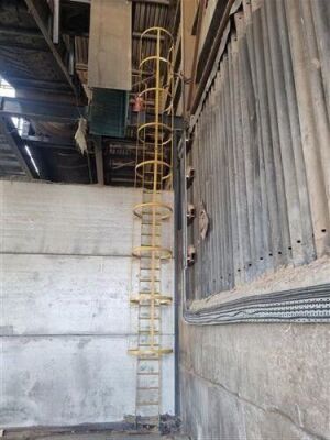 Trommel and Magnet Screening Plant - 39