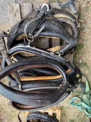 Quantity of Misc Horse Leathers - 2