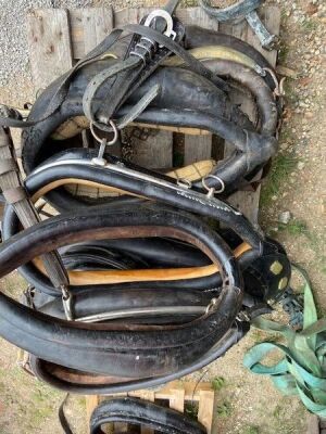 Quantity of Misc Horse Leathers - 3