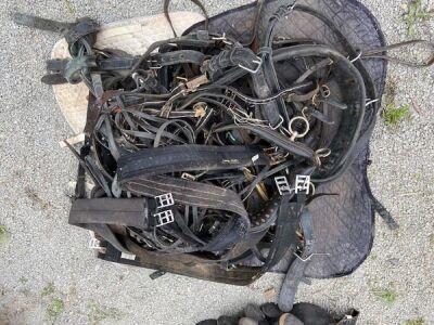 Quantity of Misc Horse Brasses and Equipment - 3