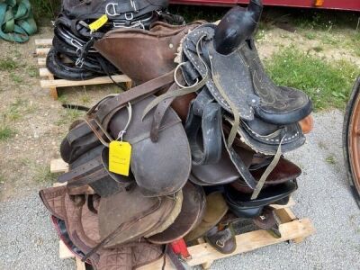 Quantity of Saddles