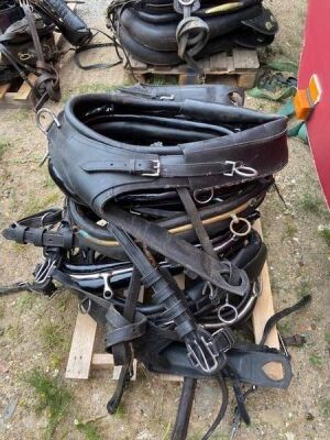 Quantity of Misc Horse Leathers - 2