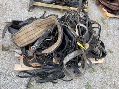 Quantity of Misc Horse Leathers