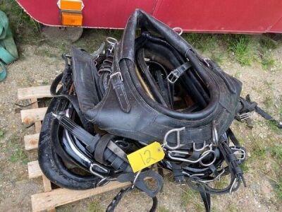 Quantity of Misc Horse Leathers