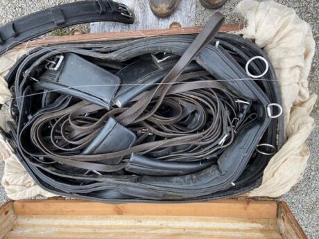 Quantity of Misc Horse Leathers