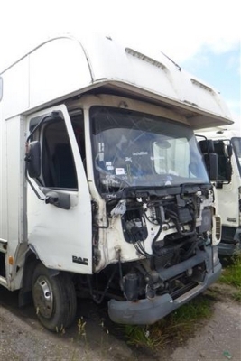 2005 DAF 45.150 4x2 Horsebox - 6