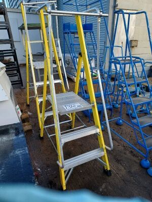 1x Set of Anti Static Step Ladders