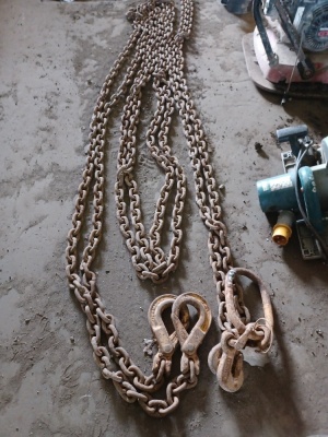 2 Leg Lifting Chain 