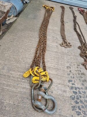 4 Leg Lifting Chain - 2