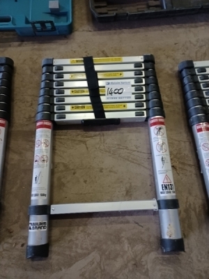 Telescopic Ladder