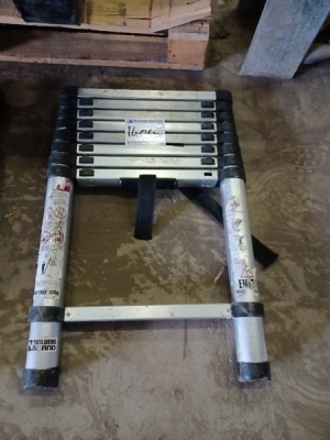 Telescopic Ladder