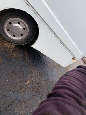 2000 Iveco Cargo 75E15 4x2 Horsebox - 5