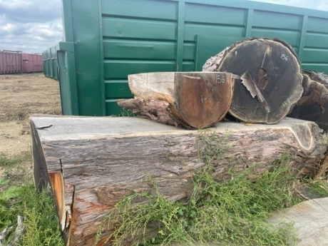 3x Redwood Tree Trunk Sections & Board