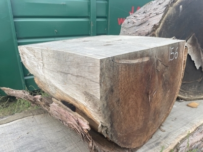 3x Redwood Tree Trunk Sections & Board - 2