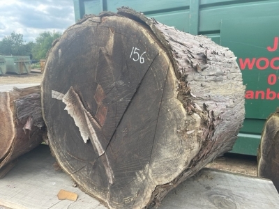 3x Redwood Tree Trunk Sections & Board - 3