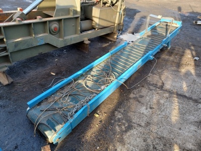 Electric Feed Conveyor Section - 2