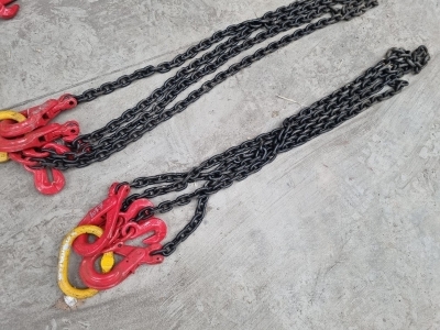 2 Leg 2m Lifting Chain