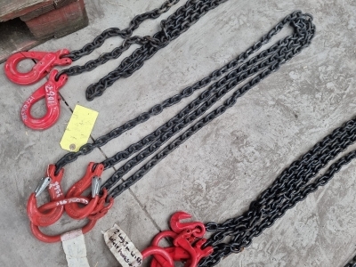 2 Leg 2m Lifting Chain