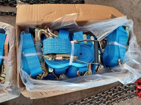 10x 5 Ton 8m Ratchet Straps