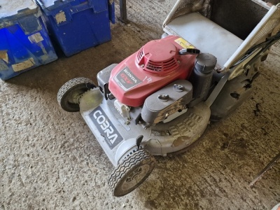 Cobra Petrol Mower - 2