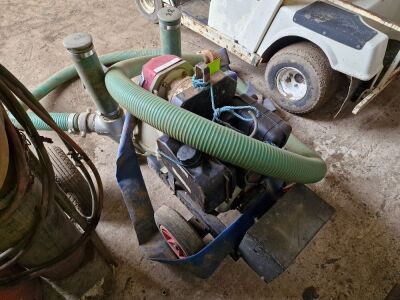 Hilta Water Pump - 3