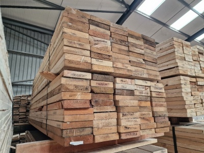 100x Timber Planks - 2