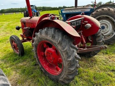 David Brown 25D Diesel Cropmaster Tractor - 3