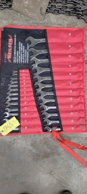 25pc Spanner Set 6-32mm