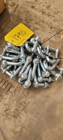 20x 12mm D Shakles