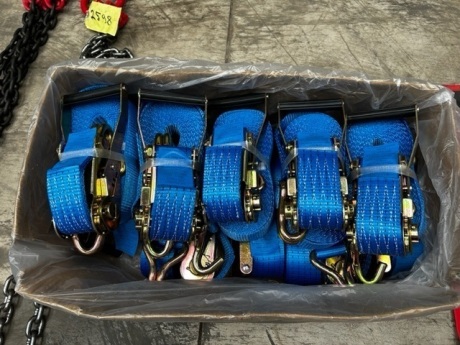 10 Boxes of 8m Ratchet Straps