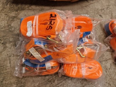 10x Unused 5ton 10m Ratchet Straps