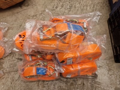 10x Unused 5ton 10m Ratchet Straps - 2