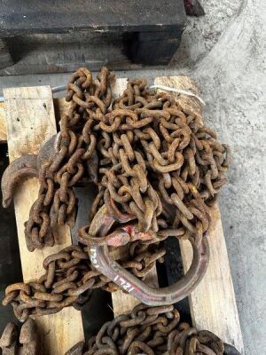 3ton 2 Leg Lifting Chain