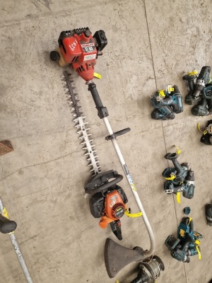 1x Homelite Strimmer, 1x Tanaka THT-210 Hedge Strimmer