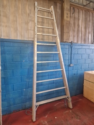 A Frame Step Ladders