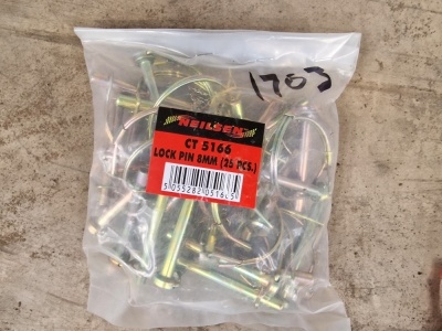 Bag 8mm Lock Pins