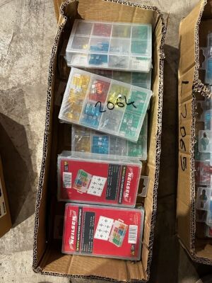 6x Boxes Standard Fuses - 3