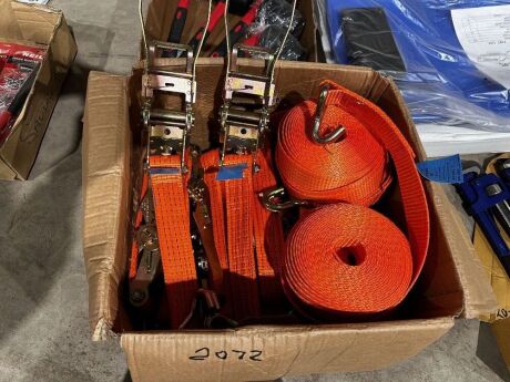 10x 5ton 8m Ratchet Straps