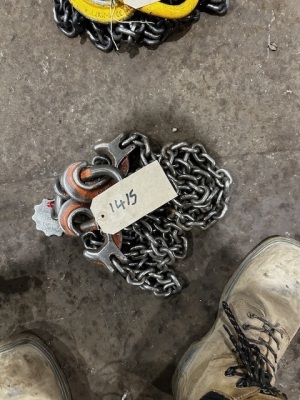 2.65ton 2 Leg Lifting Chain