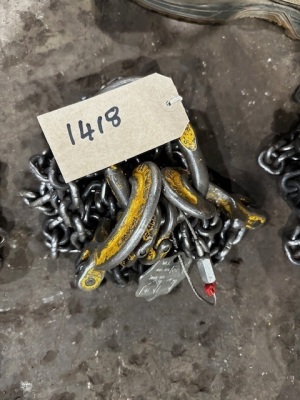 2.12ton 2 Leg Lifting Chain