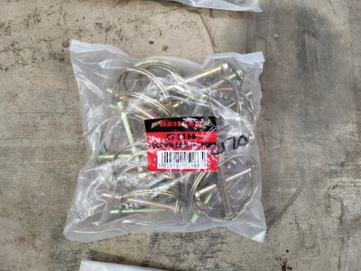 Bag of 8mm Lock Pins