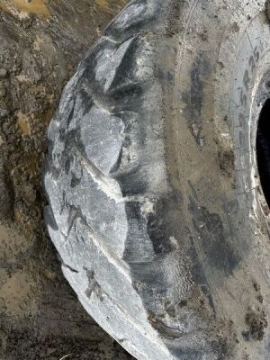 Mitchelin 29.5 R25 Earth Mover Tyre - 3