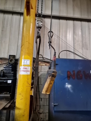 Pillar Gantry Crane, Demag Chain Hoist, SWL 500kg - 5