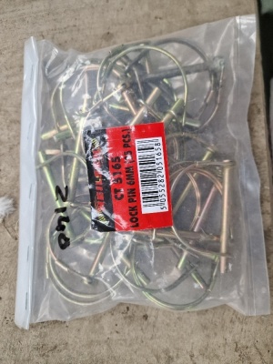 6mm Lock Pins