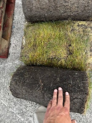 7x Rolls of Turf - 2