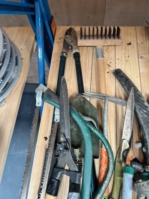 Quantity of Garden Hand Tools - 4