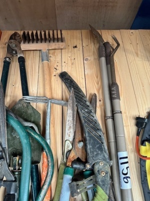 Quantity of Garden Hand Tools - 5