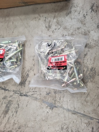 Bag of 10mm Lock Pins