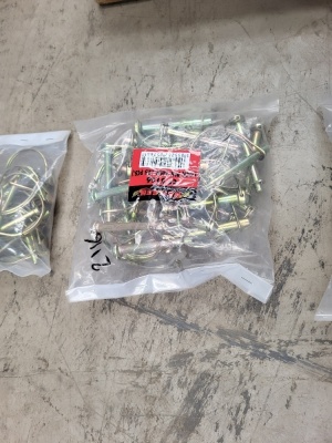 Bag of 8mm Lock Pins