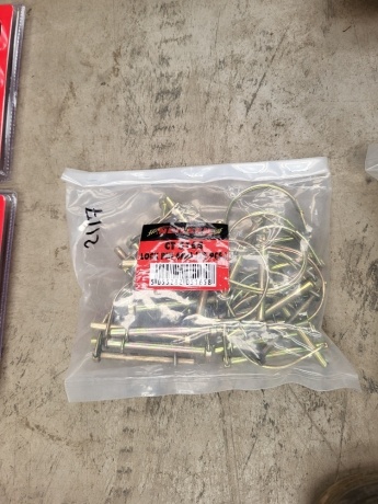 Bag of 6mm Lock Pins